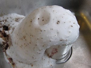 "Elephant Toothpaste" With Potassium Permanganate and Hydrogen Peroxide - Instructables