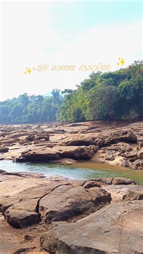 പുഴ മാഞ്ഞ കടവിലൂടെ #river #nature #travel
