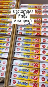 បន្ទះដេញមូសដាក់បាន១ឆ្នាំ | Melody Tokyo