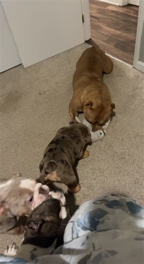 I dun told her 50/11 times stop playing wit dat damn girl like dat 😤