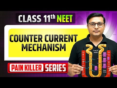 Counter Current Mechanism - From Basic to Advanced || NEET 2026