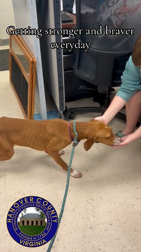 28 reactions | RETURNED: DUE TO NO FAULT OF HER OWN :( Fiona ID#...