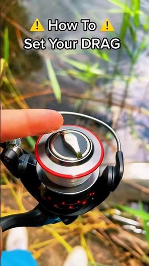 How to Set your Drag on Spinning Reel‼️