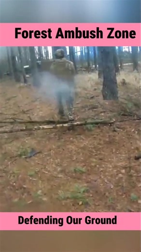 This Is Our Land | Forest Ambush & Frontline Defense