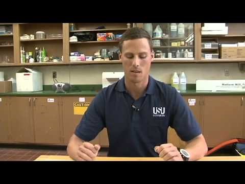 How to Measure E. Coli