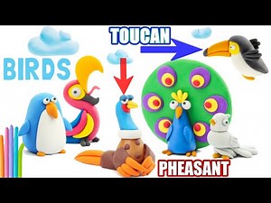 Pheasant & Toucan Clay Birds - Hey Clay Birds