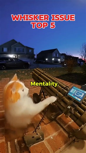 Whisker trust issues problem Top 5 😝 #funnyvideos #reelsviralシ #reelsfbシ #reelschallenge | Ganap PH