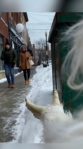 This is where flip flop was invented 🤣 | Freaky The Scary Snowman