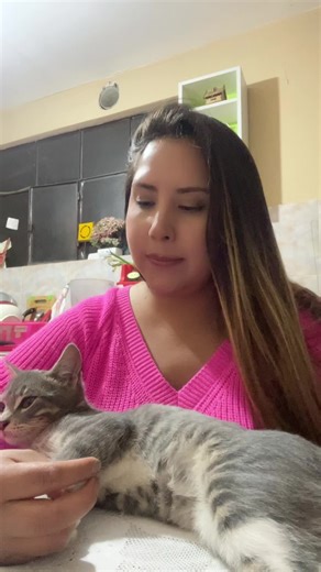 Understanding Cat Lovers: A Heartfelt Connection