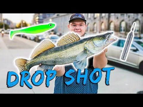 How to fish with a drop shot rig | 2019 | Equipment, setup, and technique! 🎣