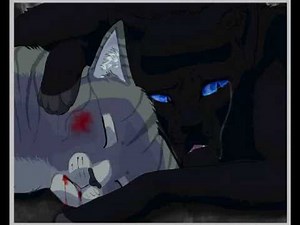 Feathertail X Crowpaw - Come back - Speedpaint