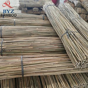 [Hot Item] Chinese Bamboo Pole /Fence Bamboo Poles