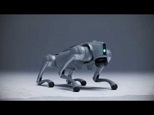 Svenska IntuiCell visar upp robothunden Luna. Ska kunna lära sig grejer precis som en riktig hund.