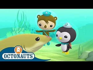 Octonauts - Injured Shark | Cartoons for Kids | Underwater Sea Education