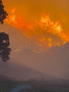 1K views · 134 reactions | Marin County Fire Department on Reels | Facebook