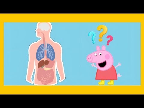 What's My Body Telling Me Peppa pig ⁉️ Toddler & Kids Learning Videos