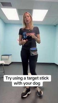 Have your tried target stick training with your dog? #dogtrainingtips #targetstick#yourdog