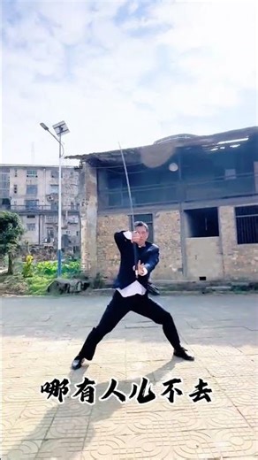 Timeless Journeys: Wild Geese's Southward Sojourn