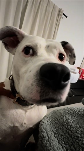 17K views · 779 reactions | Just a normal dad day in the life outside of football | Josh Butler | Facebook