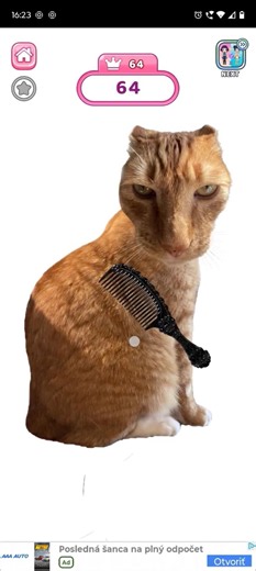 Mini Challenge 😺 Brush the Cat 💆‍♂️ Funny Mobile Gameplay!