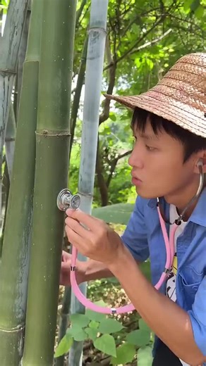 Do you dare to eat bamboo worms . Chinese Mountain Forest Life and Food #Moo Tik Tok#FYP