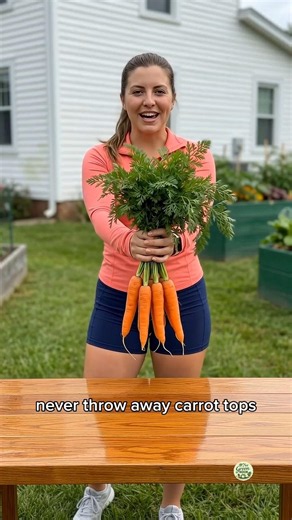 One cup of carrot top water every single morning — your body will never be the same.