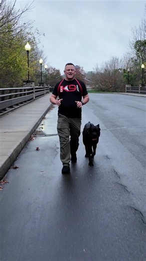 Effective Dog Training Solutions for Focus and Obedience