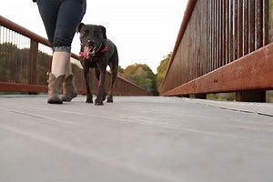 Rosendale Trestle