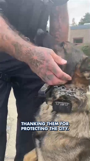 Elite training. K-9 heroes. Yonkers in action. 🐾🚒 See the City’s Urban Search & Rescue team in action and the K-9 Unit get a special blessing — all in this week’s Your Yonkers Now. | The City of Yonkers