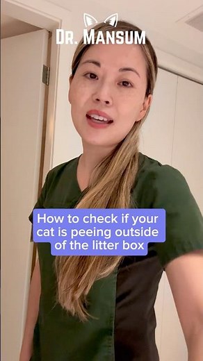 Vet tip 💡 How to tell if your cat is peeing outside the litter box