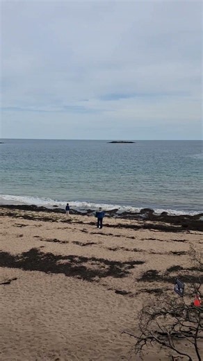 Sand Beach 5 23 26 Acadia National Park Beach Combers Everywhere Woody's Local Guided Private Tours!