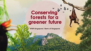 We are proud to be a sponsor of WWF-Singapore’s conservation efforts at the Bukit Tigapuluh (Thirty Hills) Ecosystem Restoration Concession, which aim to restore over 38,000 hectares of rainforest in Sumatra, Indonesia, while improving the livelihoods of indigenous tribes in the area. Tropical rainforests alone account for nearly 25% of the world’s terrestrial carbon stock. Protecting these forests ecosystems is critical to combat climate change, safeguard those most vulnerable to its effects. O