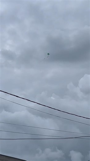 Pipinha is awesome, I wonder if he paid? #kites #kitefighting #shorts