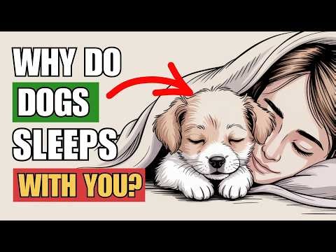 If Your Dog Sleeps With You Every Night, It Means THIS | Dog Behavior Explained