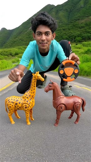 Rc Remote Wala 2 Ta Lal Horse And Giraffe Ki Unboxing Dise🔥