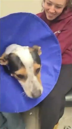 Previously Adopted Boy Returned In Gut-Wrenching Condition, Now Clinging To Life In ER [STORY BELOW]