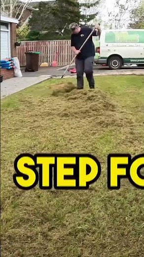 Revive Your Lawn: Essential Spring Dethatching Tips