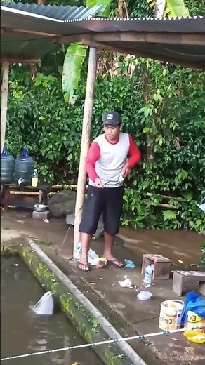 effective way to catch pomfret in ponds #viralshort #fishing #learnfishing