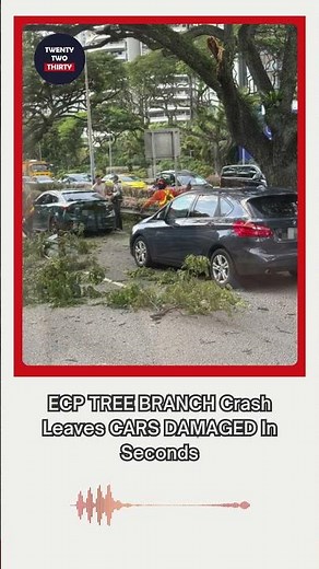 ECP TREE BRANCH Crash Leaves CARS DAMAGED In Seconds