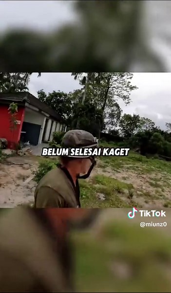 Kebun Binatang Terbengkalai di Phuket: Horor Memukau
