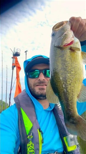 Summer Bass Fishing Tips for Catching GIANTS