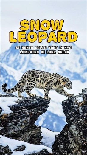 Kucing Ini Punya "Sepatu Salju" Alami?! ❄️🐆 #Shorts #animals