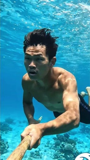 deep blue sea #spear fishing ❤️