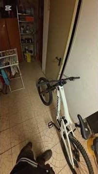 La mia nuova bici da downhill Propain Race Cf