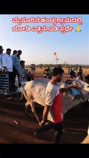 complete video in our YouTube channel🔥#viral#kannada #villagelife#sumashomeworld#mysuru#viralshorts