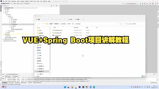 VUE项目讲解教程 VUE Spring Boot项目框架讲解教程 VUE项目框架讲解教学 JAVA程序开发教学