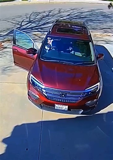 Hilarious CCTV Fails You Can't Miss