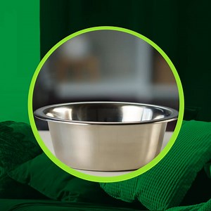 160K views | Premium nutrition for a lifetime of play: - Made with high-quality ingredients for optimal nutrition - Complete & balanced dog food options for puppy, adult, and senior life stages helps maintain healthy digestion with a blend of fibre and prebiotics - Vet recommend IAMS* *According to a study of US veterinarians | IAMS | Facebook