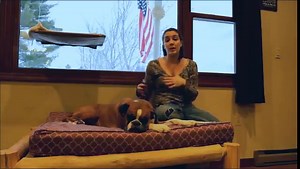 Do You Tip Dog Groomers? Why and How Much? – Top Dog Tips