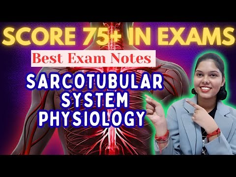 Sarcotubular System|| Excitation-Contraction Coupling|| Nerve Muscle Physiology | hindi | kajal jha